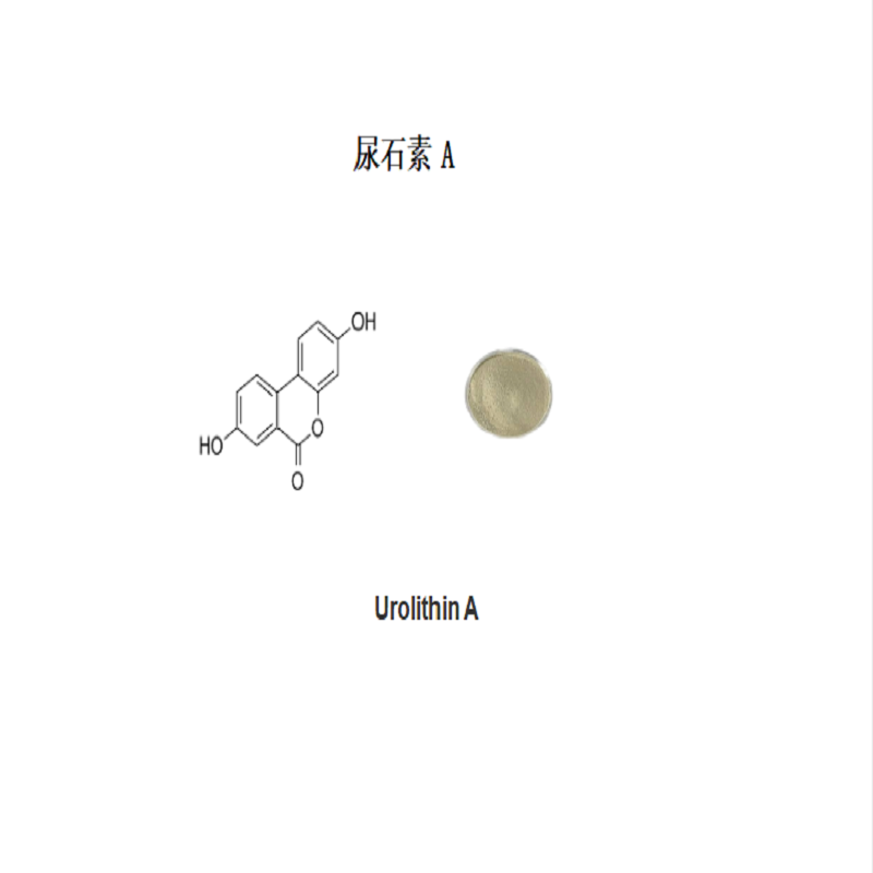 Urolithin A尿石素A CAS號1143-70-0